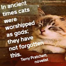 What Cats Have Not Forgotten