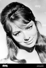 Beth rogan hi-res stock photography and images