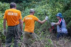 Volunteer Workday at Clark Nature Preserve