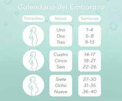 En la semana 36 de embarazo, estás a sólo 4 semanas (aproximadamente) de ver a tu bebé y quizá empieces a cuando llegas a la semana 36 de embarazo puede que hayas subido 12 o 13 kilos, o incluso alguno más. 34 Semanas Cuantos Meses Son Club De Bebes Agosto 2018 Babycenter