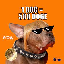 Doge, internet, wallpaper, wallpapers, animals. Finn To Boost Dog Adoptions To The Moon With Dogecoin Cryptocurrency Adsofbrands Net