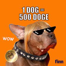 Shiba inu doge, shiba inu, shiba inu dog. Finn To Boost Dog Adoptions To The Moon With Dogecoin Cryptocurrency Adsofbrands Net