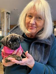 Here's my new baby….Molly