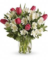 Maybe you would like to learn more about one of these? Charleston Florist Flower Delivery By Blossoms Stems Florist Greenhouse