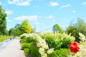 Alles zum thema garten, balkon, terrasse und pflanzen: Impressum Wichtige Angaben Im Uberblick Sparkasse Deggendorf