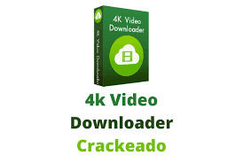 Here are the legal ins and outs. 4k Video Downloader Crackeado Download Gratis 2021