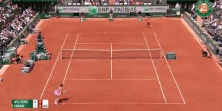 Victories for djokovic and nadal would ensure a 58th meeting between the pair. Bacsinszky Pusshen Ferrer Gif Find On Gifer