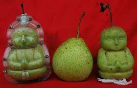 Jump to navigation jump to search. Funny Shaped Fruit And Vegetables Design Swan