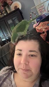 My first tiny bird 🐦 This little guy will have his beak tomorrow. He'll be  a wonderful model for my little painter doll, Isaline 🎨.