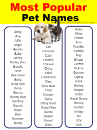 Image result for Pet Names