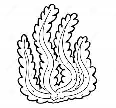 Some of the coloring page names are seaweed coloring at colorings to and color, seaweed clip click on the coloring page to open in a new window and print. Seaweed Coloring Pages For Kids 2019 Educative Printable Coloring Pages Coloring Pages For Kids Ocean Coloring Pages
