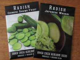 Winter Reading … |