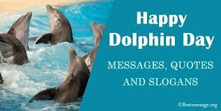 National Dolphin Day Messages Quotes And Slogans April 14 Slogan Messages Dolphins