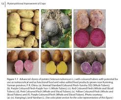 Image result for Solanum tuberosum