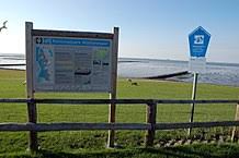 Das wattenmeer vor der deutschen nordseeküste ist durch drei nationalparks geschützt. Schleswig Holstein Wadden Sea National Park Wikipedia