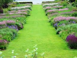 Modern Directions In Perennial Planting Patterns Plants Pretty Gardens Garden Design