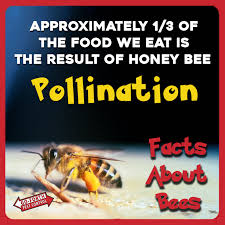 A1 termite & pest control, inc. Go Forth Pest Control Goforthpestcontrol Profile Pinterest