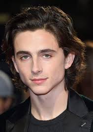 Fan Casting Harry Osborn as Timothee Chalamet in Actors and actresses who  should play comic book Characters