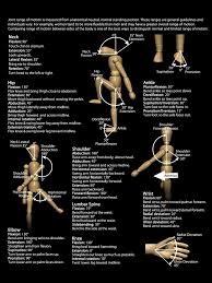 34 Punctilious Cervical Spine Range Of Motion Chart