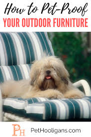 How To Pet Proof Your Outdoor Furniture Pet Hooligans Pet Proof Dog Chewing Furniture Pets