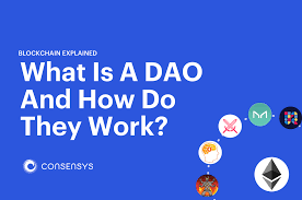 Breaking Into Blockchain How To Get A Full Time Job In Crypto Consensys