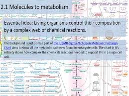 By Chris Paine Molecules To Metabolism Essential Idea