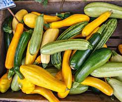 Check spelling or type a new query. How To Harvest And Store Summer Squash