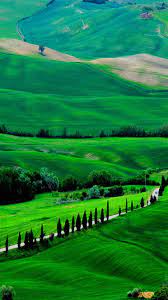 Green View Beautiful Nature Wallpaper Landscape Wallpaper Nature Wallpaper