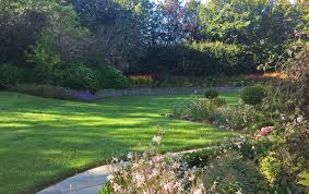 Maybe you would like to learn more about one of these? Martin Brady S Garden Series This Week The Lawn Debate The Gloss Magazine