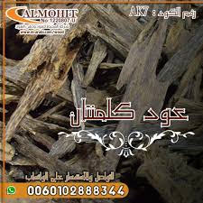 عود كلمنتان اندونيسي rea