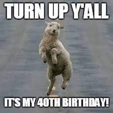 Pin On Happy Birthday Memes