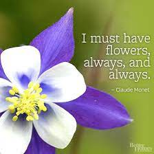 Flower Quotes Flower Quotes Short Flower Quotes Garden Quotes