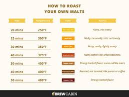 Roasted Malt A Diy Guide