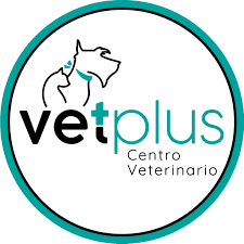 VETPLUS CENTRO VETERINARIO
