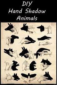Make sure that you put out your smudge stick and dispose of it in an environmentally friendly way. Diy Hand Shadow Animals Hand Shadows Shadow Animals Hand Shadow