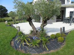 Photo N 1234768 Amenagement Jardin Olivier Jardin Moderne Terrasse Jardin