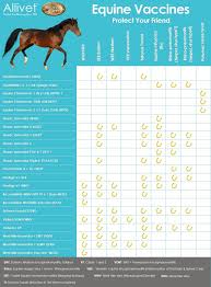 Allivets Equine Vaccine Chart Allivet Pet Care Blog