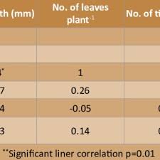 Image result for Astripomoea hyoscyamoides