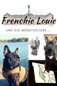Eine Franzosische Bulldogge Erobert Munster Ferien Mit Hund Munster Munster Tatort
