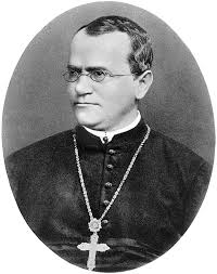 Eserciziario di genetica volume 1. Gregor Mendel Wikipedia