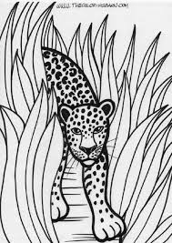 There are two icons above the free rainforest coloring page. Tropical Rainforests Coloring Pages Coloring Home