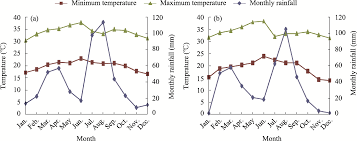 Image result for Monothecium glandulosum