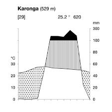 Image result for Eminia antennulifera