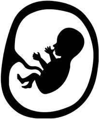 Aborto Espontaneo 10 Consejos Para Evitarlo