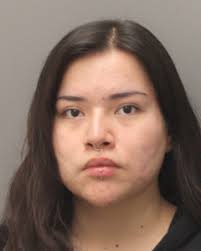 Brandon Crime StoppersCRIME STOPPERS WANTED” for: April 7th, 2023