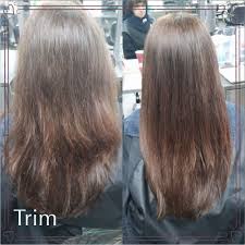 Trimmed Off Split Ends 1 2 Inch Off Long Hair Styles Split Ends Beauty