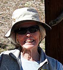 See What We Have Been Up To!