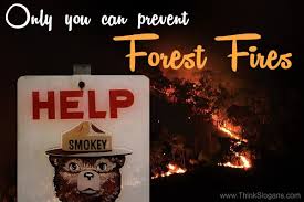 Need a safety slogan that works? Fire Safety Slogans
