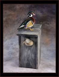 Wood Duck Box And Mallard Flaring Refuge Forums Wood Ducks Wood Duck Mounts Bird Taxidermy