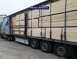 Au fost aplicate 10 sancțiuni contravenționale, prevăzute de legea 171/2010 privind stabilirea și sancționarea contravențiilor. LoviturÄ Pentru Mafia Lemnului Cherestea De Peste 30 000 De Lei ConfiscatÄ De PoliÈiÈti Èi Ansamblu De Vehicule De 50 000 De Euro Indisponibilizat Suceava News Online